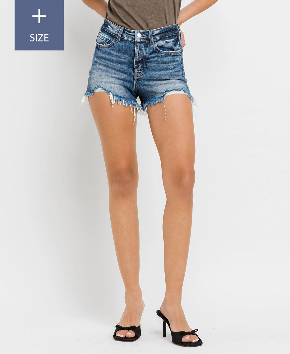Ayla High Rise Zip Denim Shorts - Extended Sized