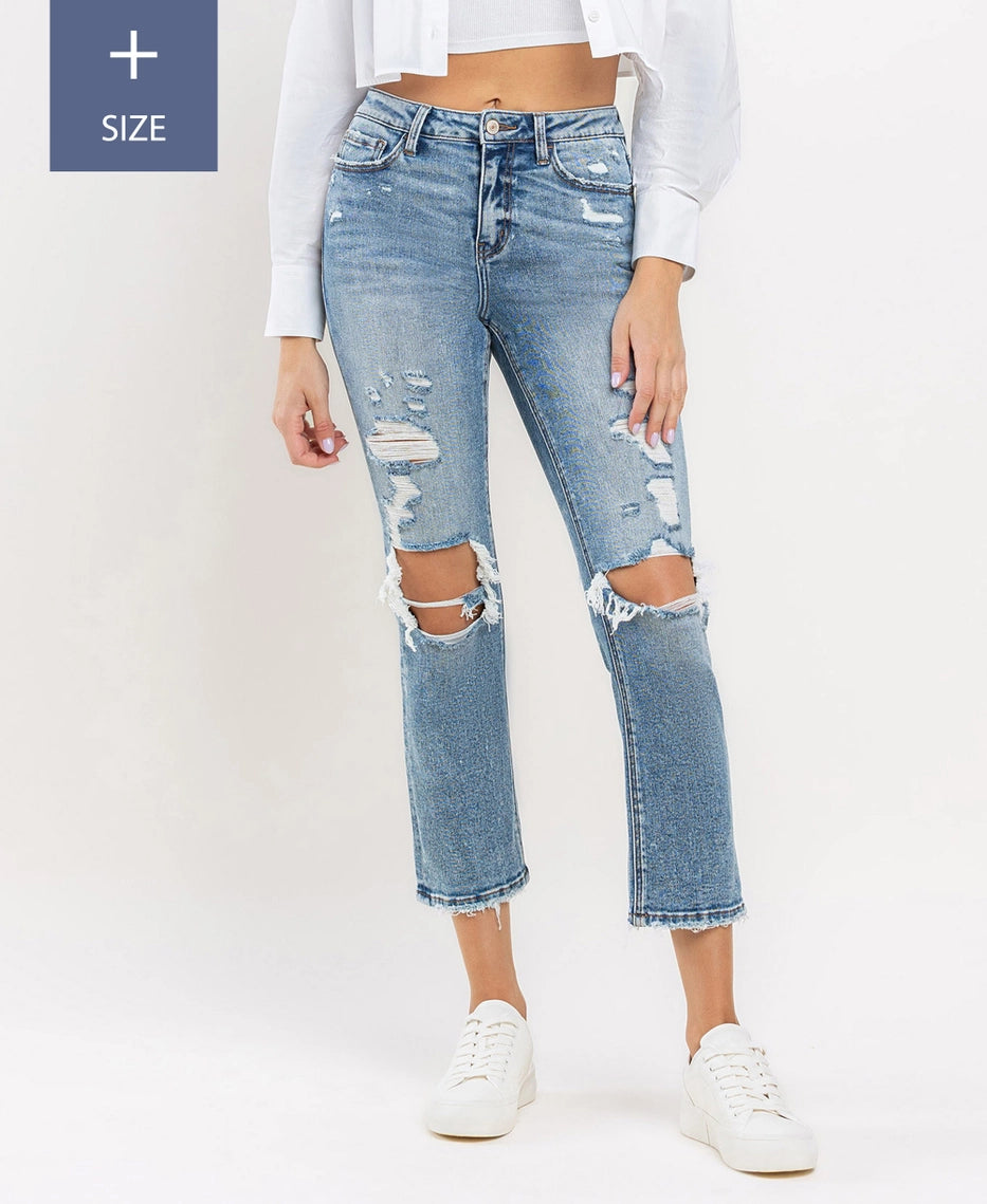 Ashton High Rise Slim Straight Jeans - Extended Sizes