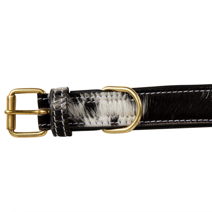 Carter Mae Cowhide Dog Collar