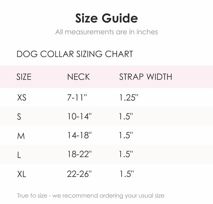 Carter Mae Cowhide Dog Collar
