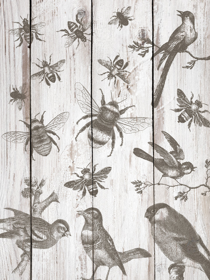 IOD Birds & Bees 12x12 Stamp