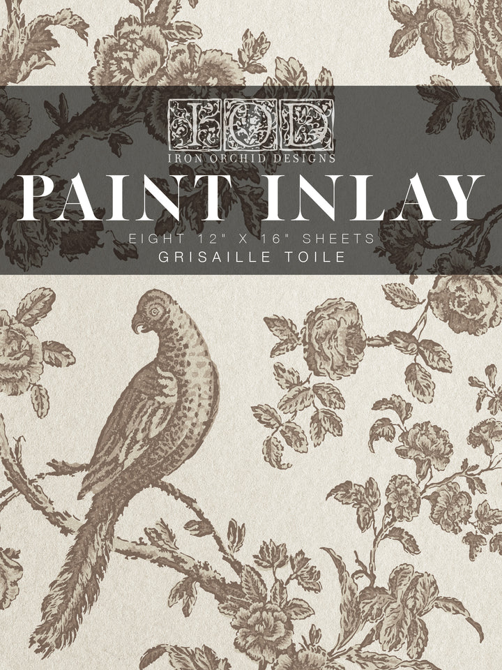 IOD Grisaille Toile 12x16 Paint Inlay