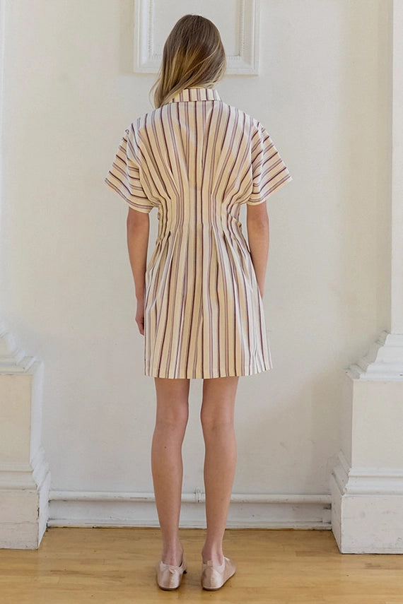 Samantha Stripe Button Down Mini Dress
