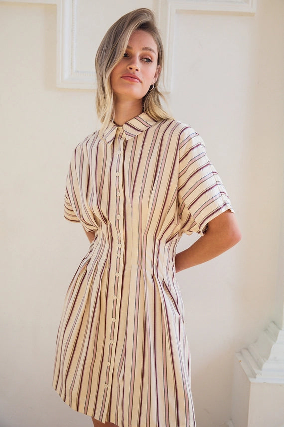 Samantha Stripe Button Down Mini Dress