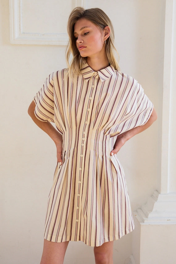 Samantha Stripe Button Down Mini Dress