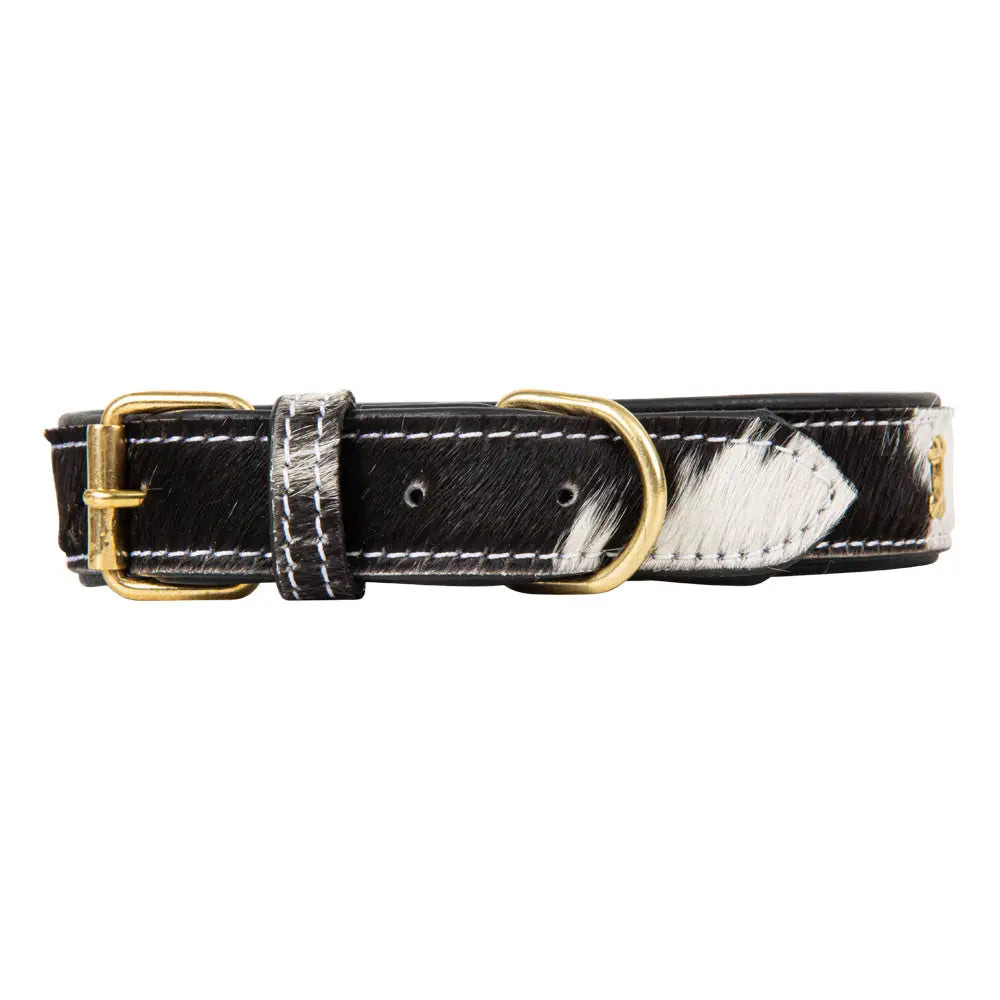 Carter Mae Cowhide Dog Collar