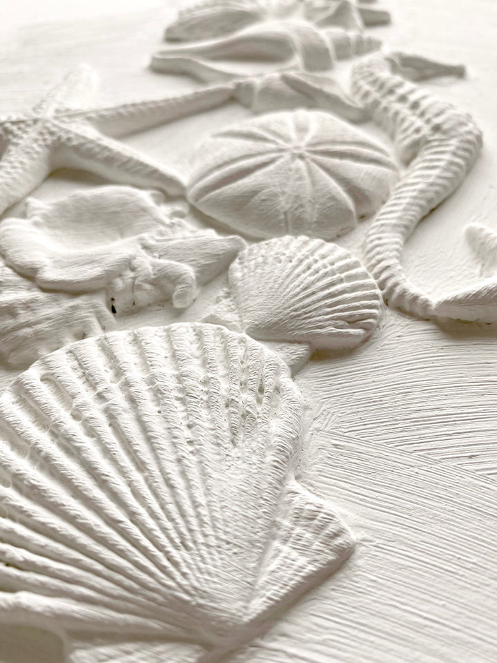 IOD Sea Shells 6X10 Mould