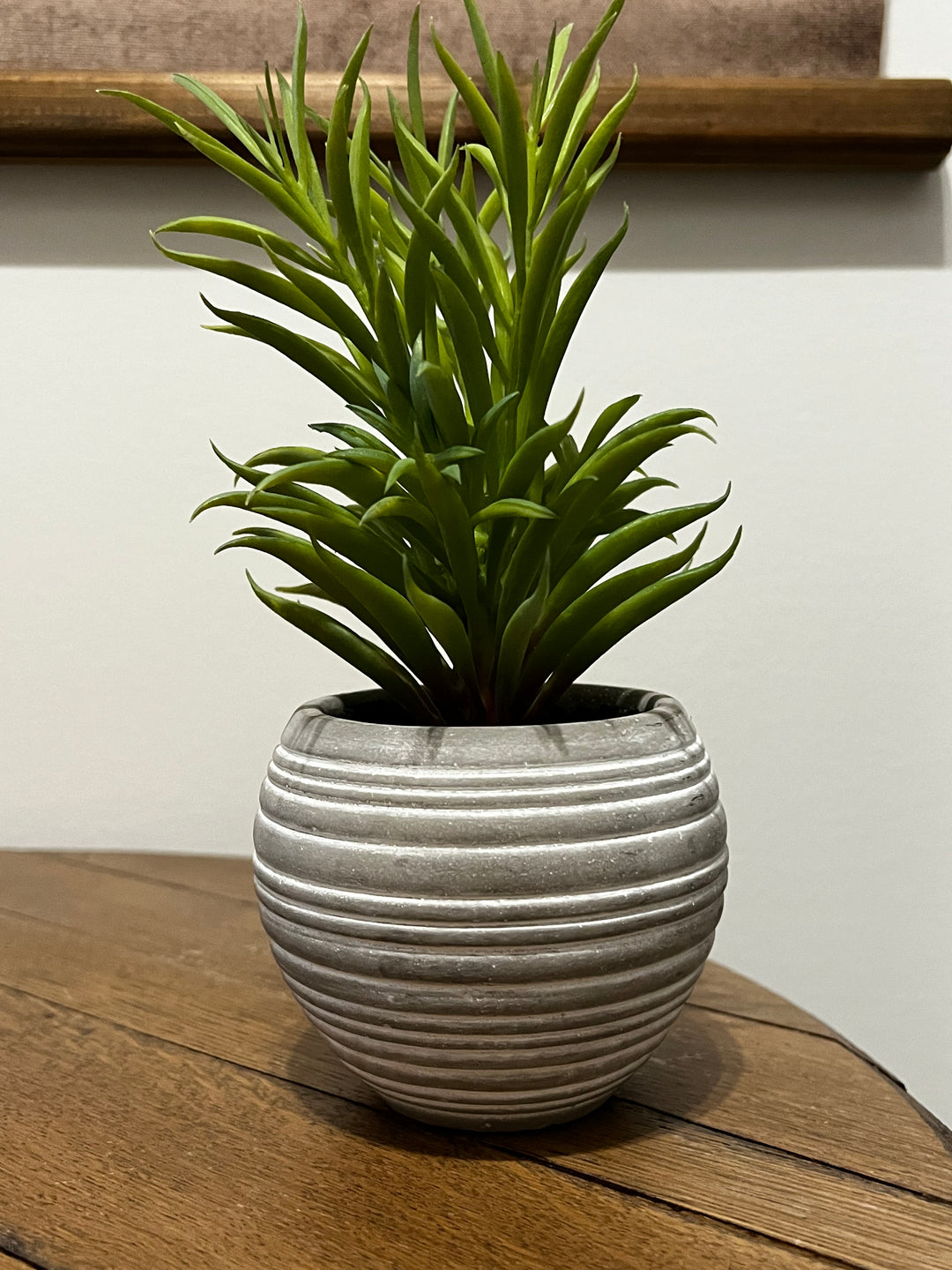 Decorative Potted Plant - The Loft/ 36 Eleven